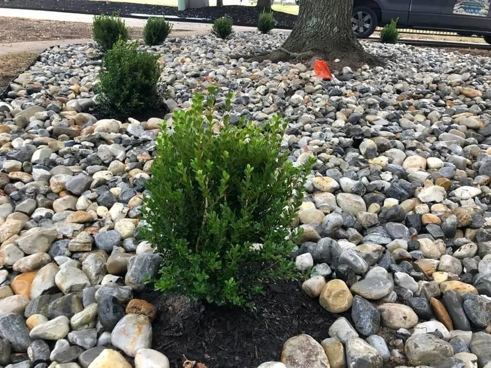 Top-rated landscaping services for beautiful yards in Lake Worth, TX by Funky Town Landscaping