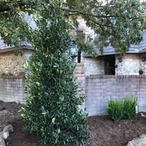 Reliable landscape design experts serving Lake Worth, TX - Funky Town Landscaping