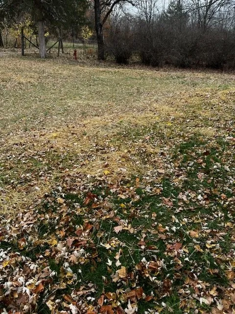 Trusted yard cleanup service for homes in Linn, MO by Funnel Rock Farm