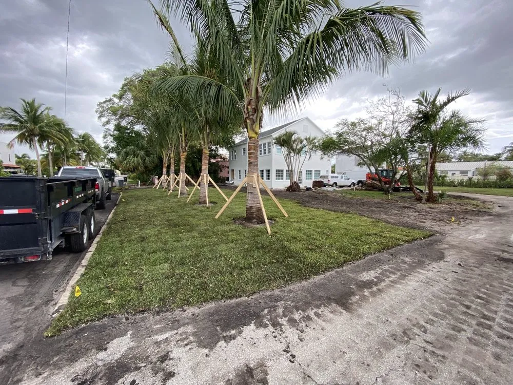 Affordable yard cleanup service in Boca Raton, FL by Furey Asset Services
