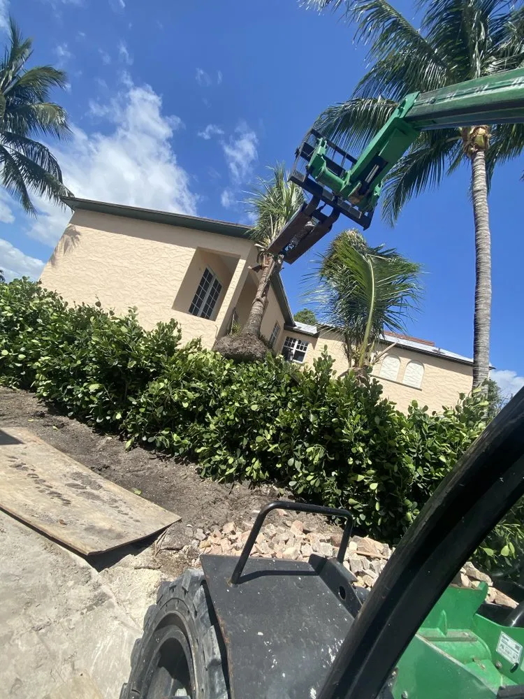 Expert garden landscaping in Boca Raton, FL by Furey Asset Services