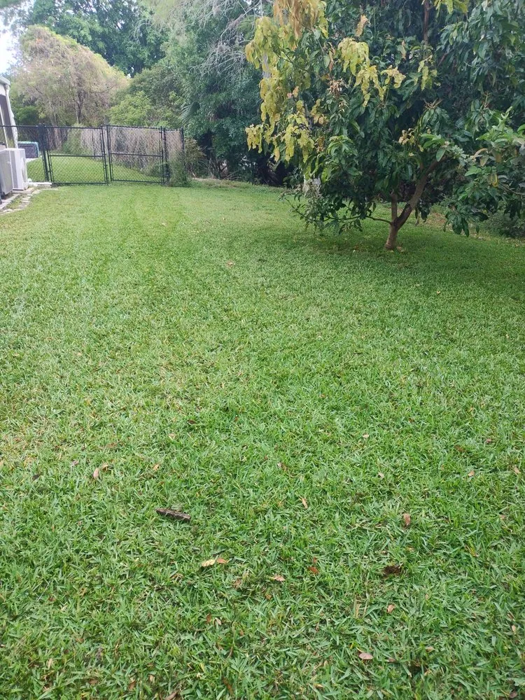 Local outdoor landscaping near you in Royal Palm Beach, FL by Furia Global