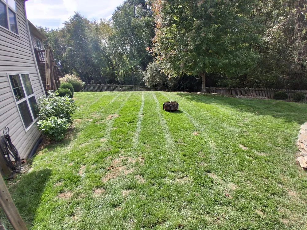 Trusted yard cleanup service for year-round maintenance in Shelbyville, KY by Furious Lawn Care