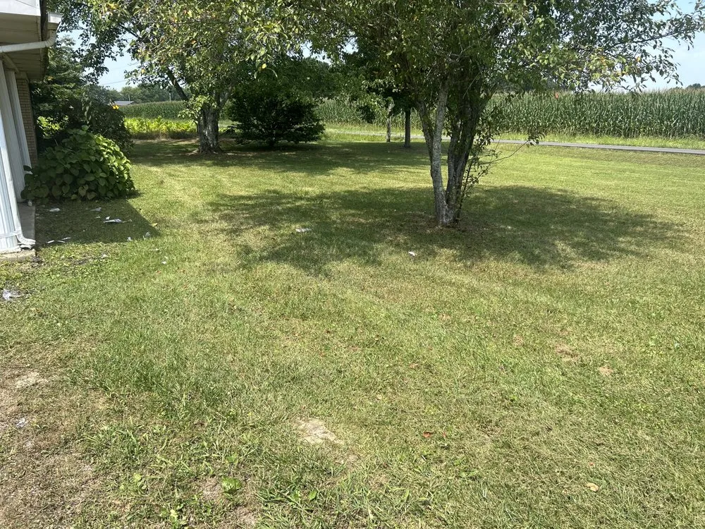 Top-rated yard maintenance in Columbia, KY by Furkins Lawncare