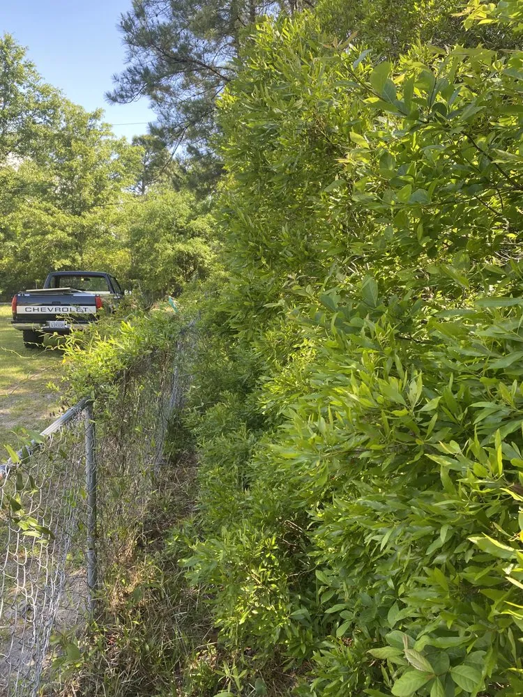 Trusted landscape design in Surfside Beach, SC by Furrs Landscaping