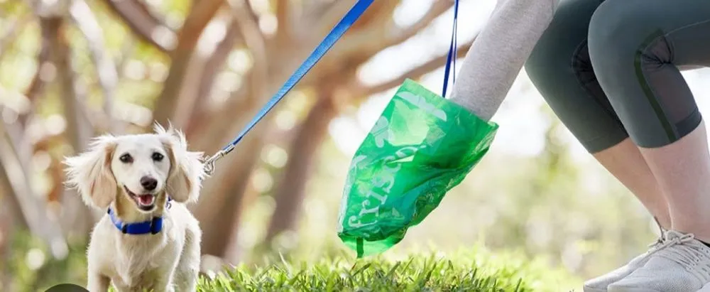 Top-rated residential landscaping experts serving Odessa, TX - Furry Babies Lawn Care