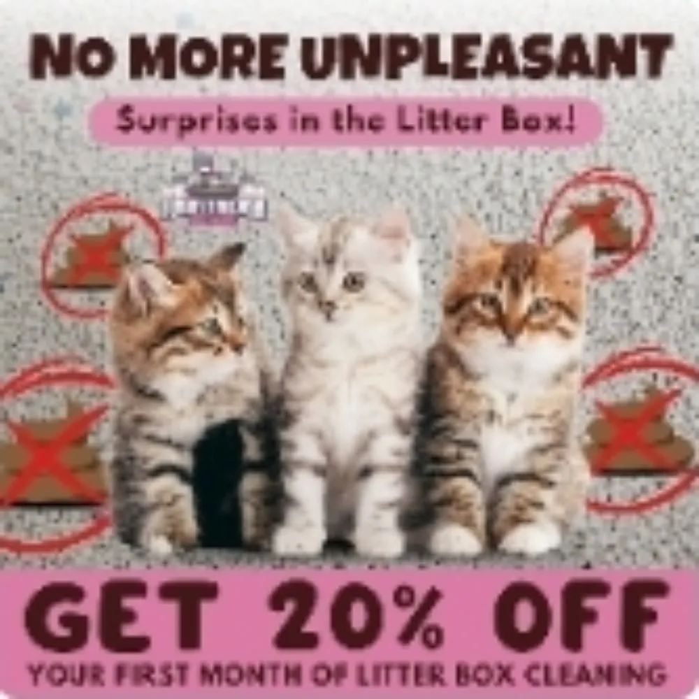 Affordable landscape installation experts serving Round Rock, TX - Furry Friends Poop Patrol