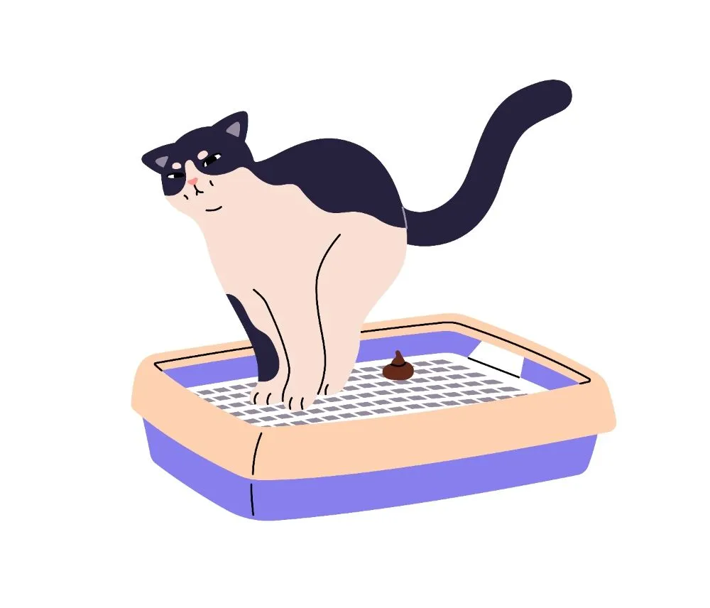 Expert yard maintenance experts serving Round Rock, TX - Furry Friends Poop Patrol