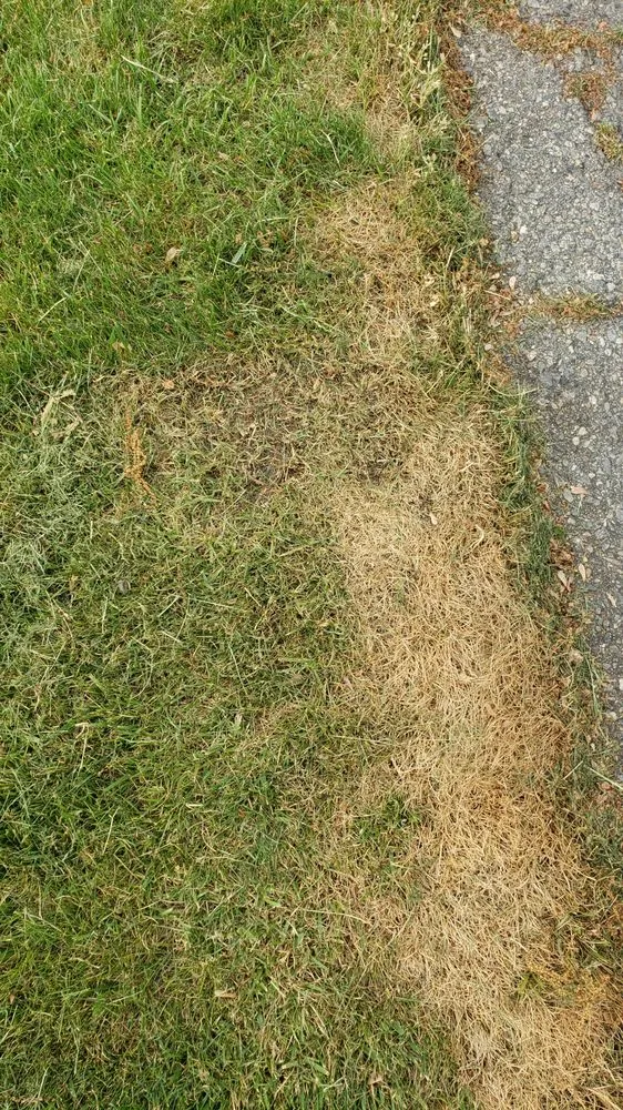 Reliable landscaping services near you in Dartmouth, MA by Furtado Landscaping