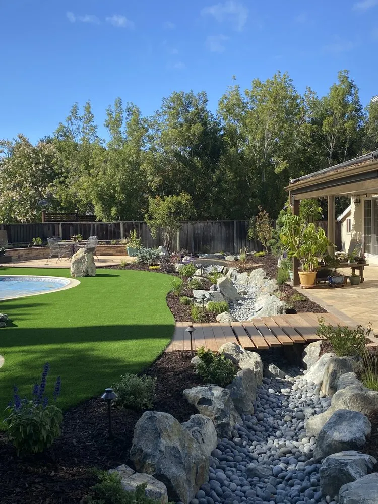 Trusted yard cleanup service in Berkeley, CA - Furuichi Landscapes
