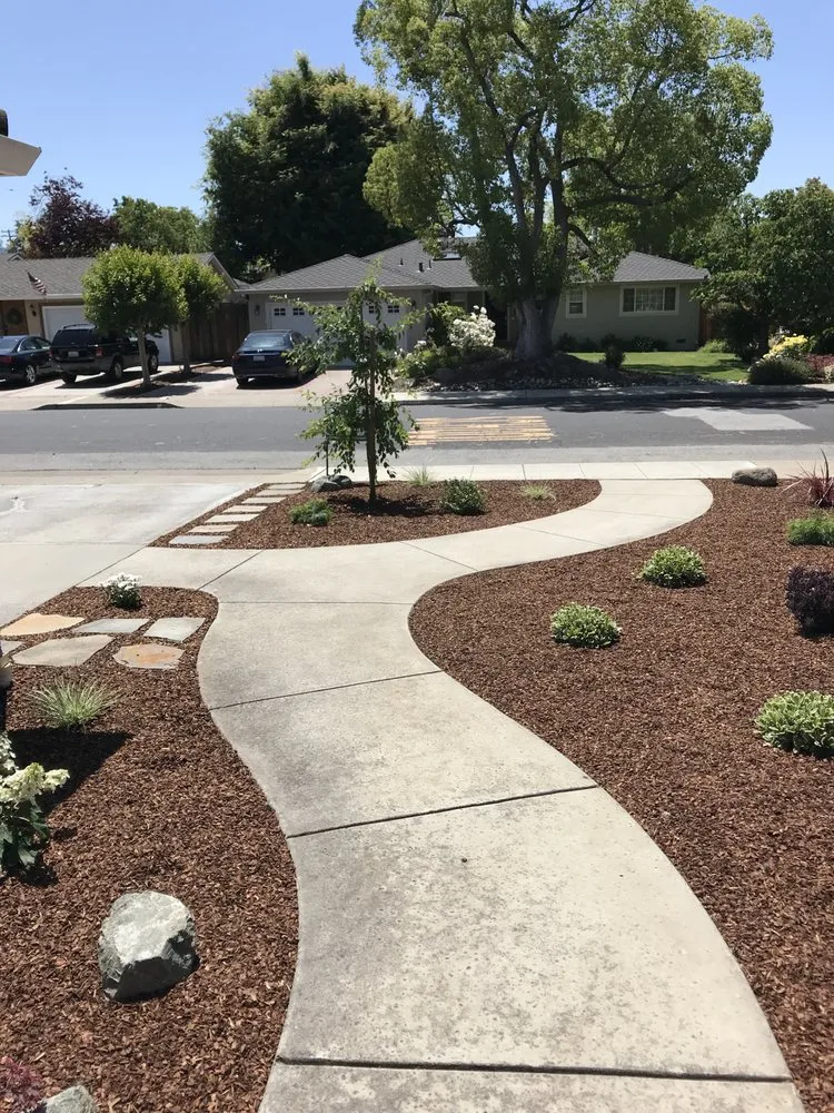 Top-rated yard cleanup service for year-round maintenance across Berkeley, CA - Furuichi Landscapes