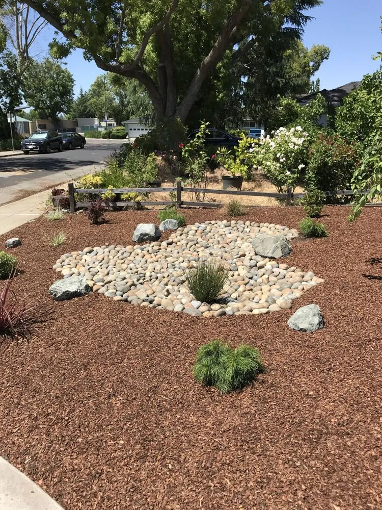 Trusted residential landscaping in Berkeley, CA - Furuichi Landscapes