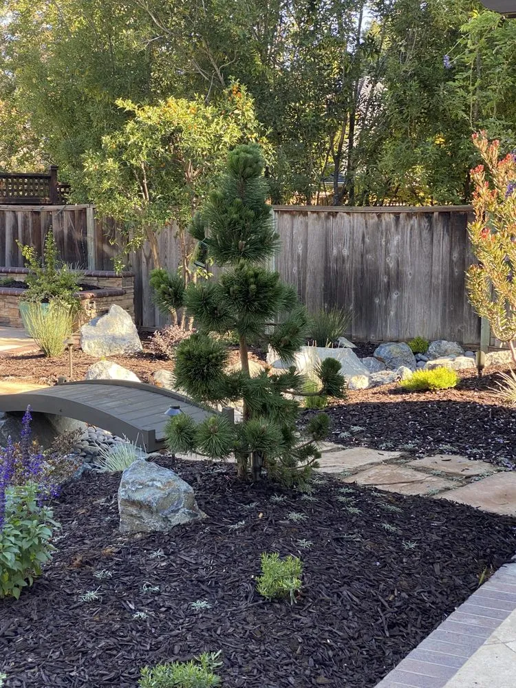 Affordable landscape design experts serving Berkeley, CA - Furuichi Landscapes