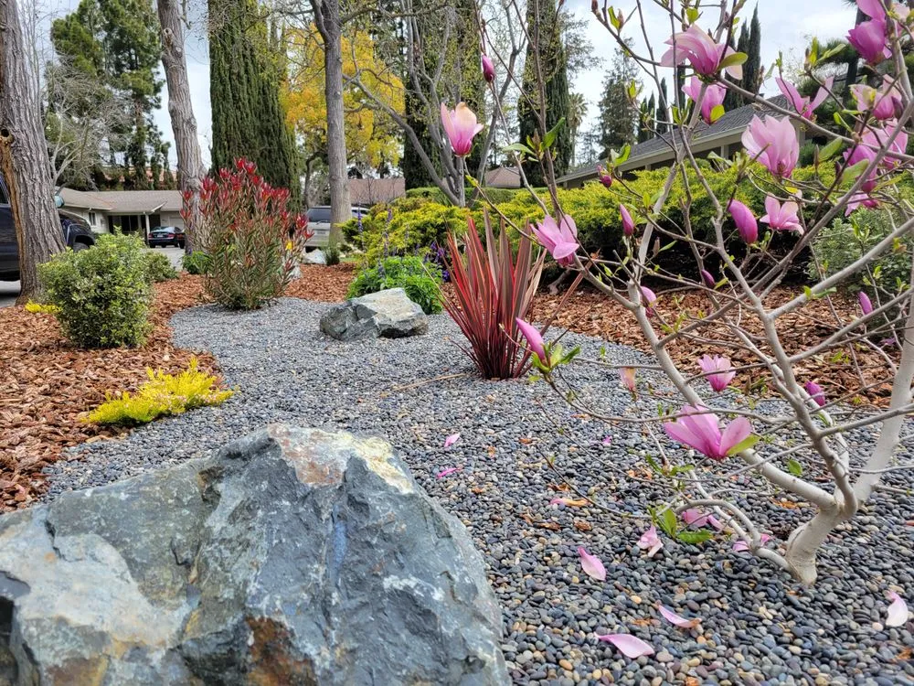 Top-rated yard maintenance experts serving Berkeley, CA - Furuichi Landscapes