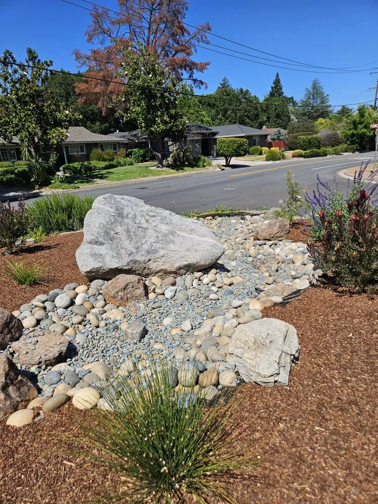 Custom yard maintenance in Berkeley, CA by Furuichi Landscapes
