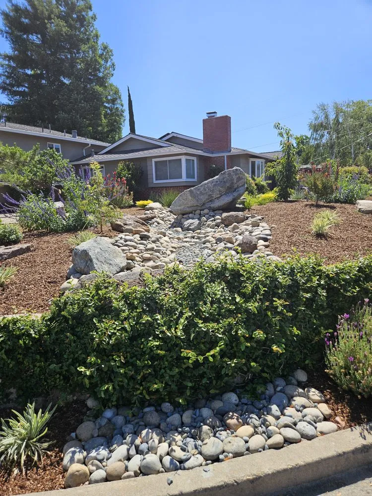 Local lawn care service experts serving Berkeley, CA - Furuichi Landscapes
