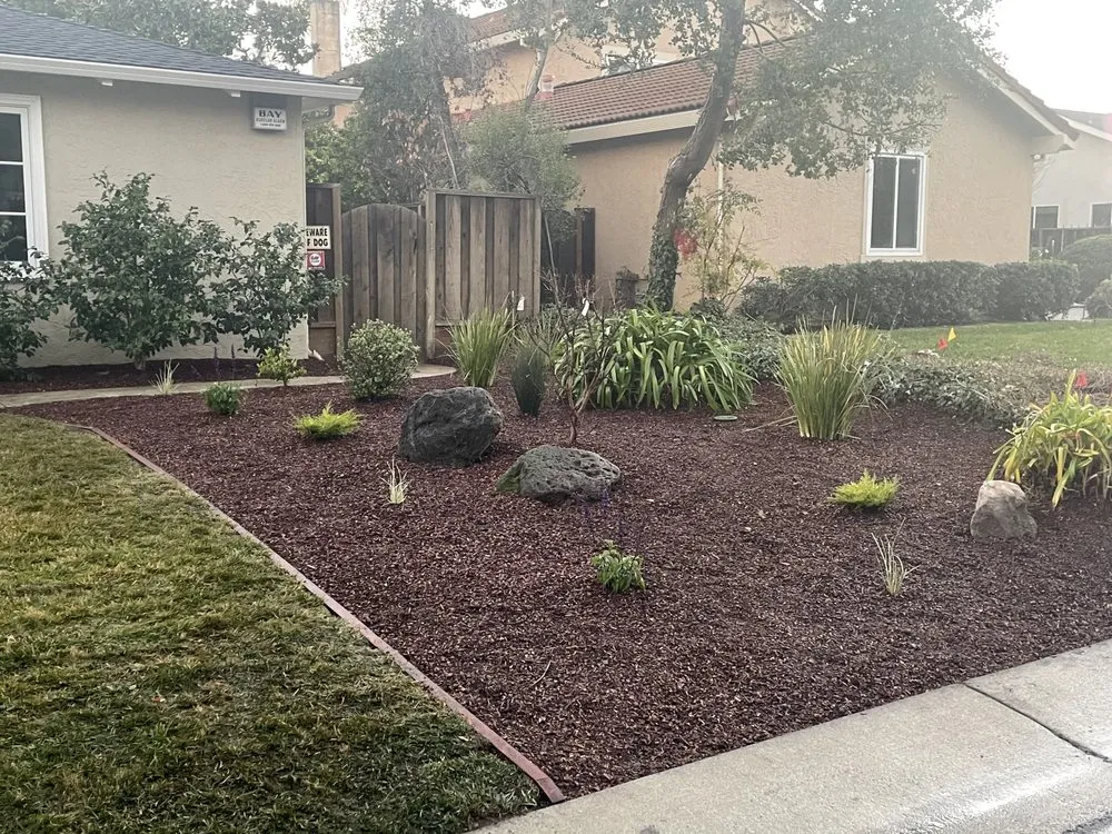Top-rated yard cleanup service for outdoor upgrades in Berkeley, CA by Furuichi Landscapes