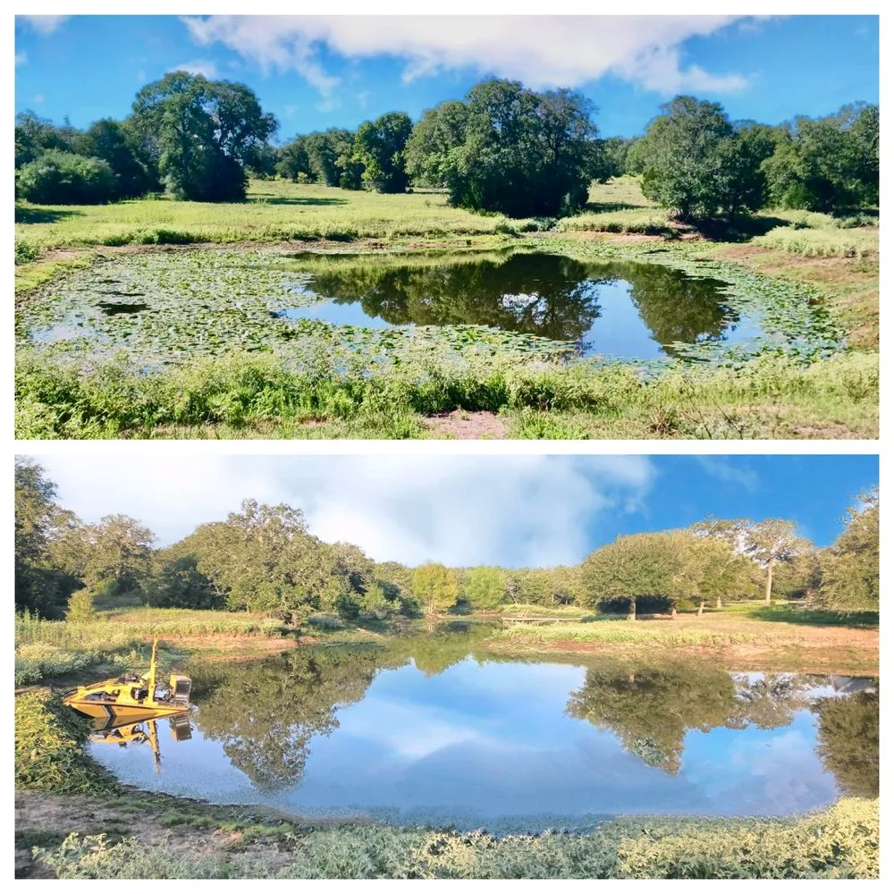 Reliable yard cleanup service experts serving El Campo, TX - Fusion Land Services