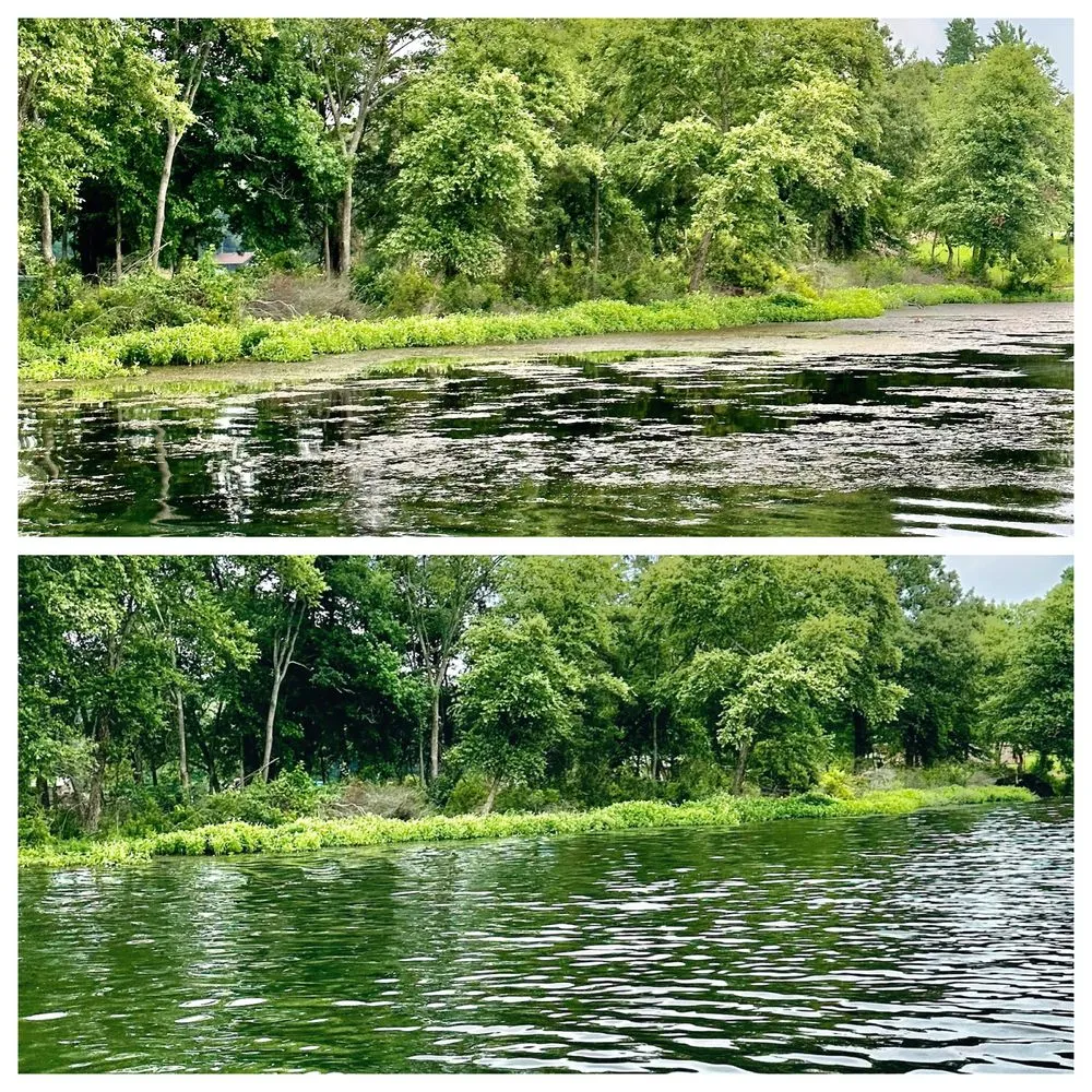 Top-rated lawn care service in El Campo, TX by Fusion Land Services