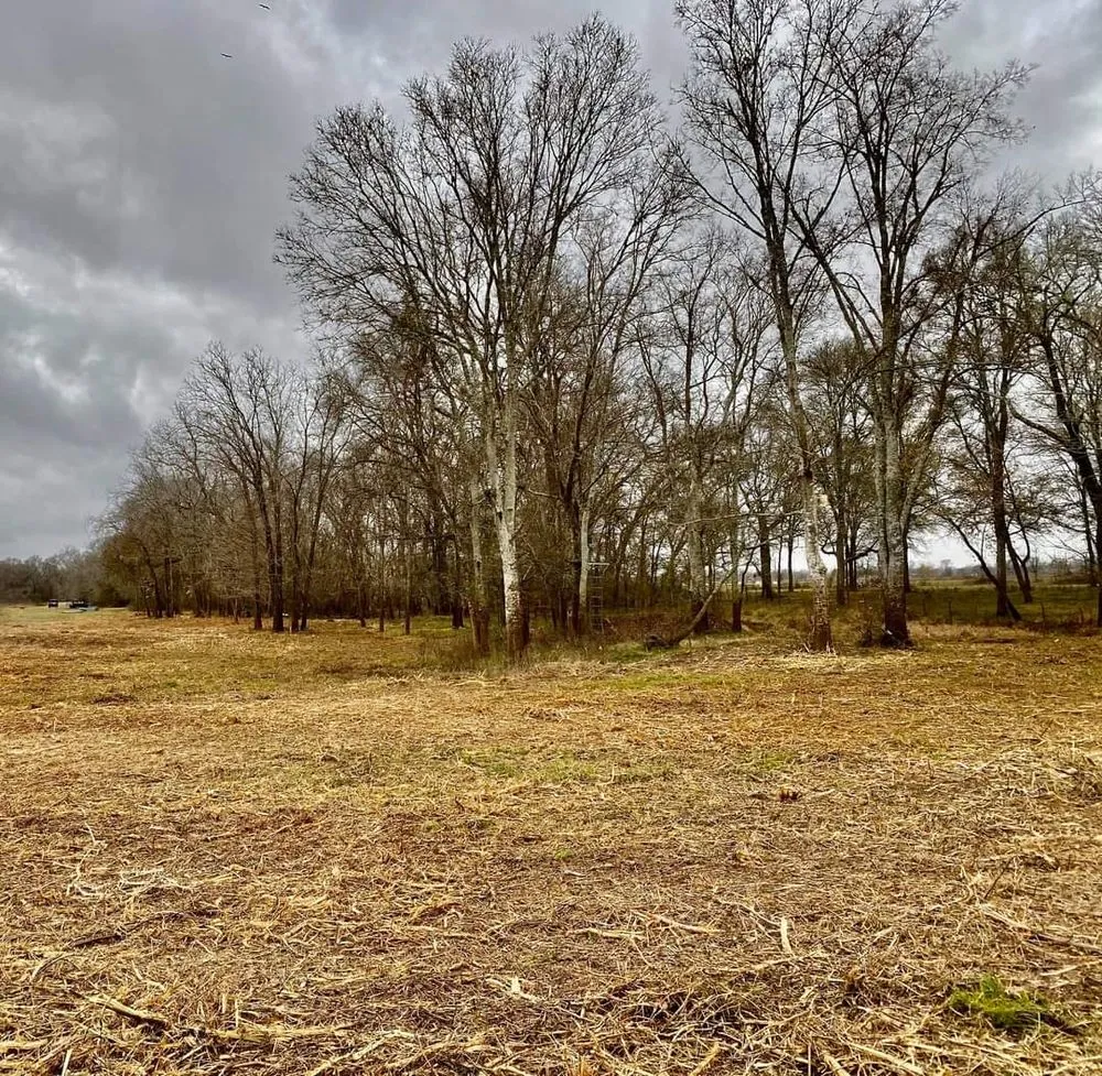 Custom lawn care service experts serving El Campo, TX - Fusion Land Services