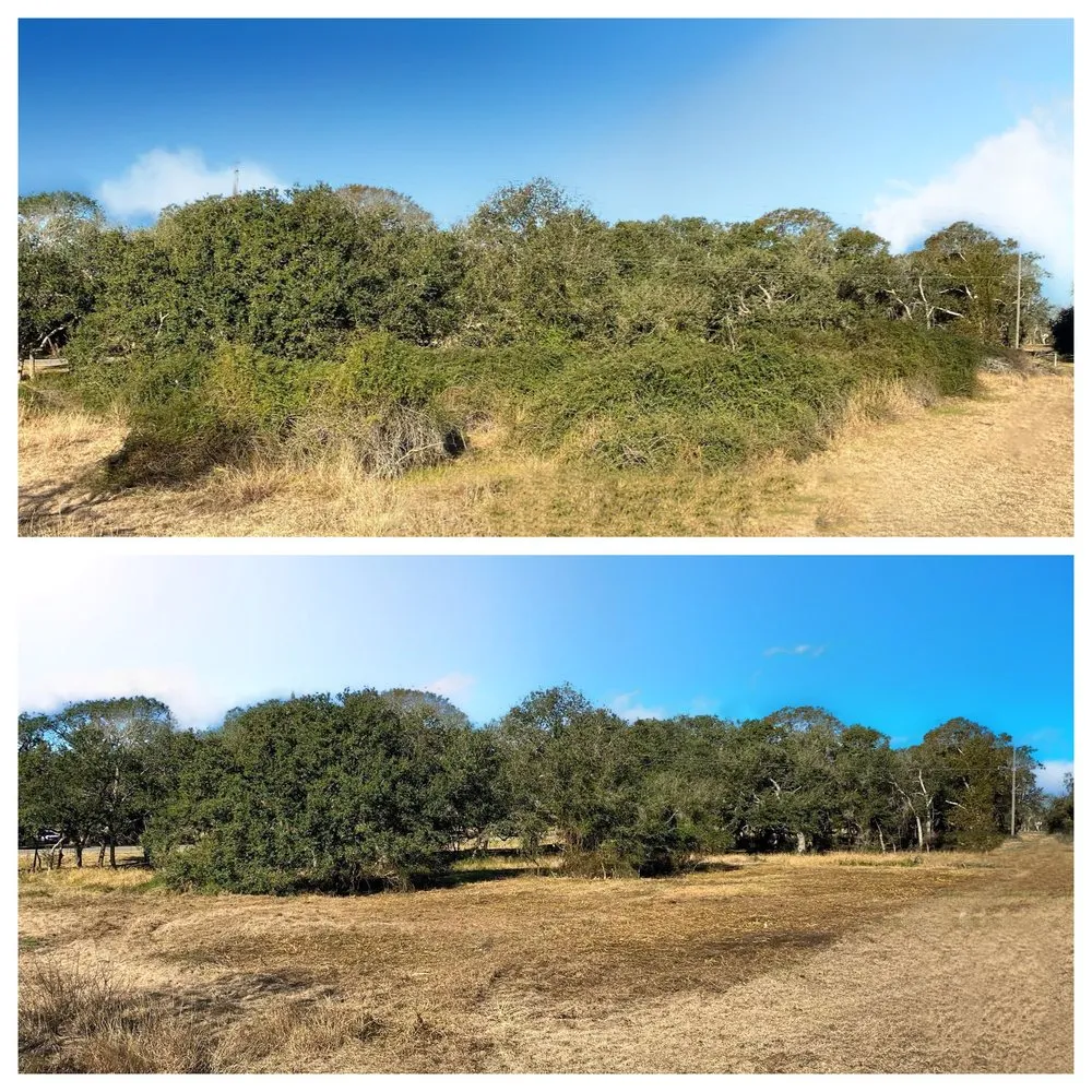 Custom landscape installation in El Campo, TX by Fusion Land Services