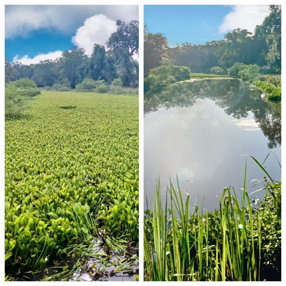 Top-rated lawn mowing service for homes in El Campo, TX by Fusion Land Services