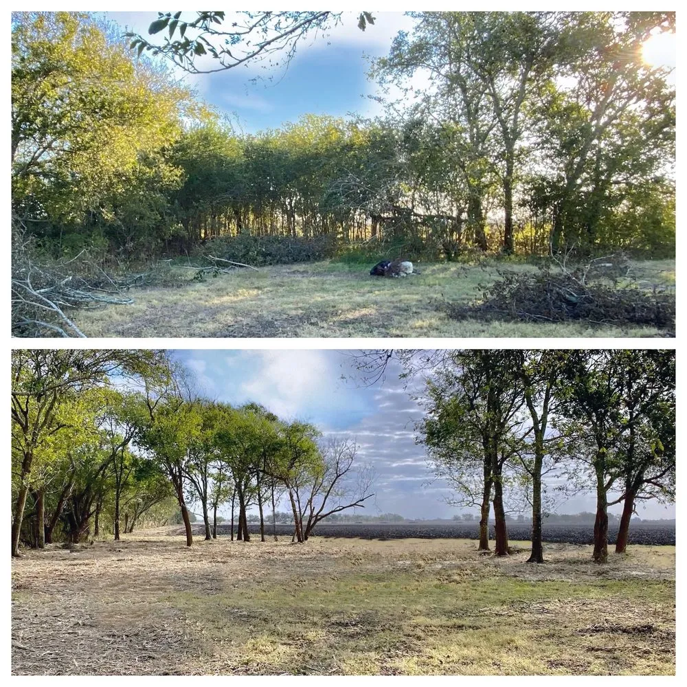 Local garden landscaping in El Campo, TX by Fusion Land Services