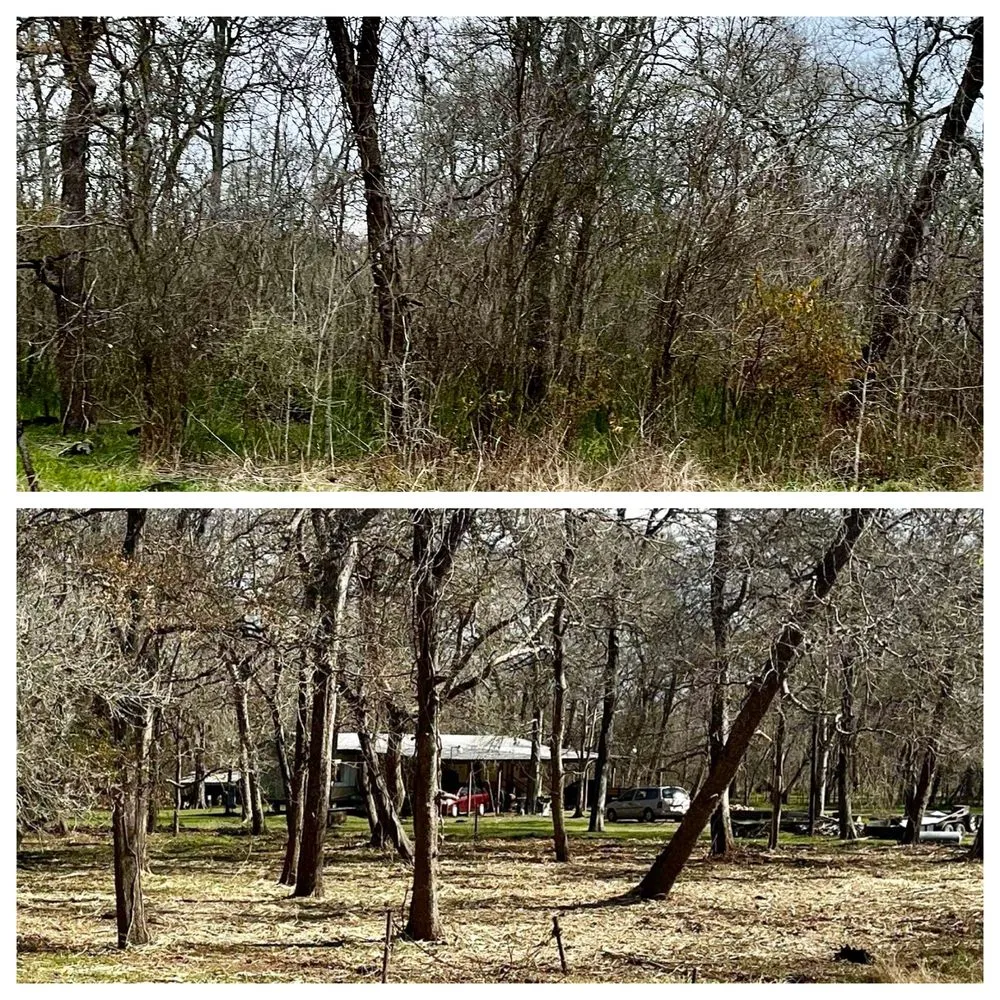 Trusted residential landscaping for residential properties across El Campo, TX - Fusion Land Services