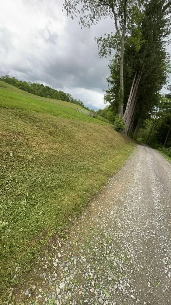 Local yard cleanup service in Fairmont, WV by Future Green Solutions
