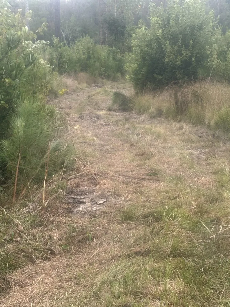 Affordable landscaping services experts serving Macclesfield, NC - Future Grounds Land Development