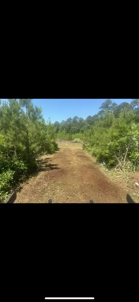 Expert garden landscaping for residential properties across Macclesfield, NC - Future Grounds Land Development