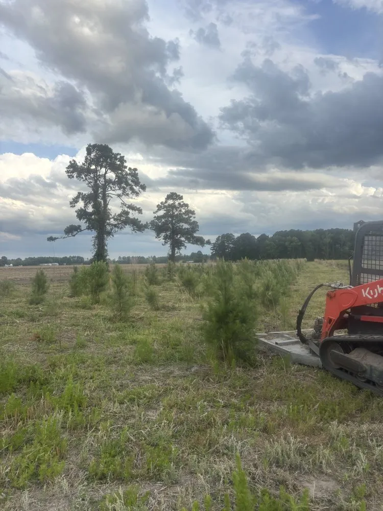Top-rated outdoor landscaping for outdoor upgrades across Macclesfield, NC - Future Grounds Land Development