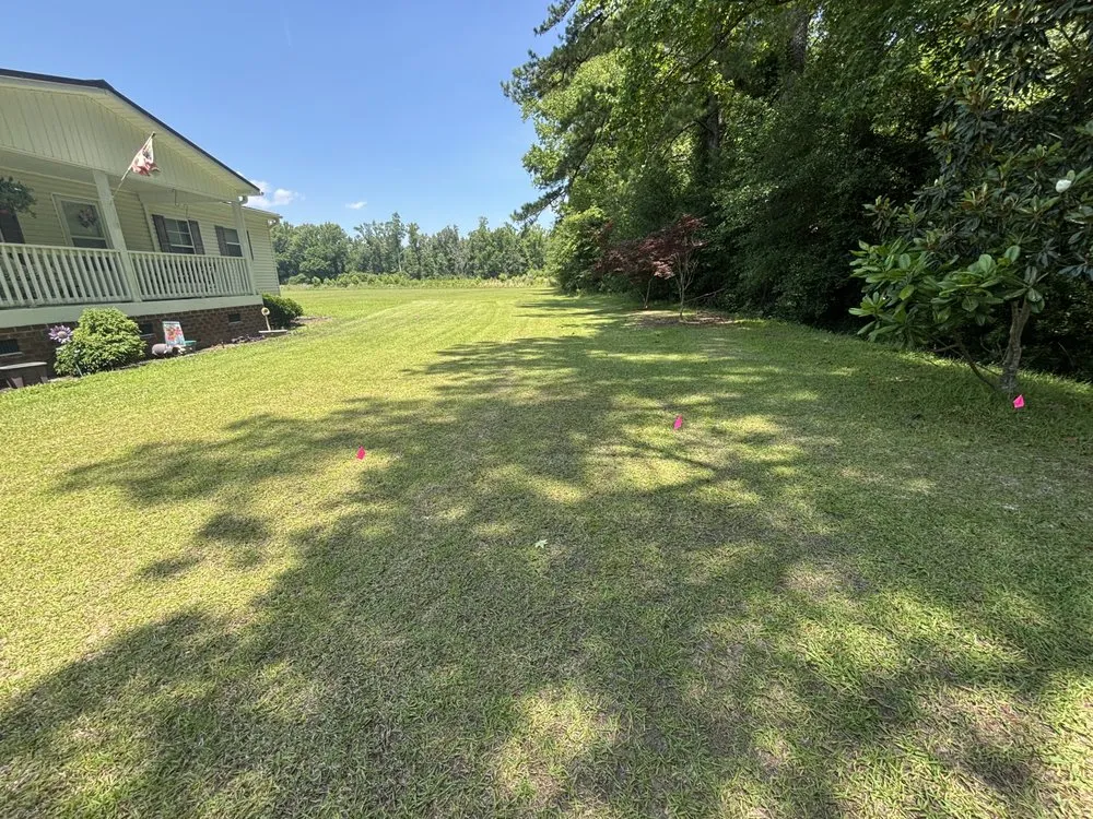 Custom landscaping services experts serving Macclesfield, NC - Future Grounds Land Development