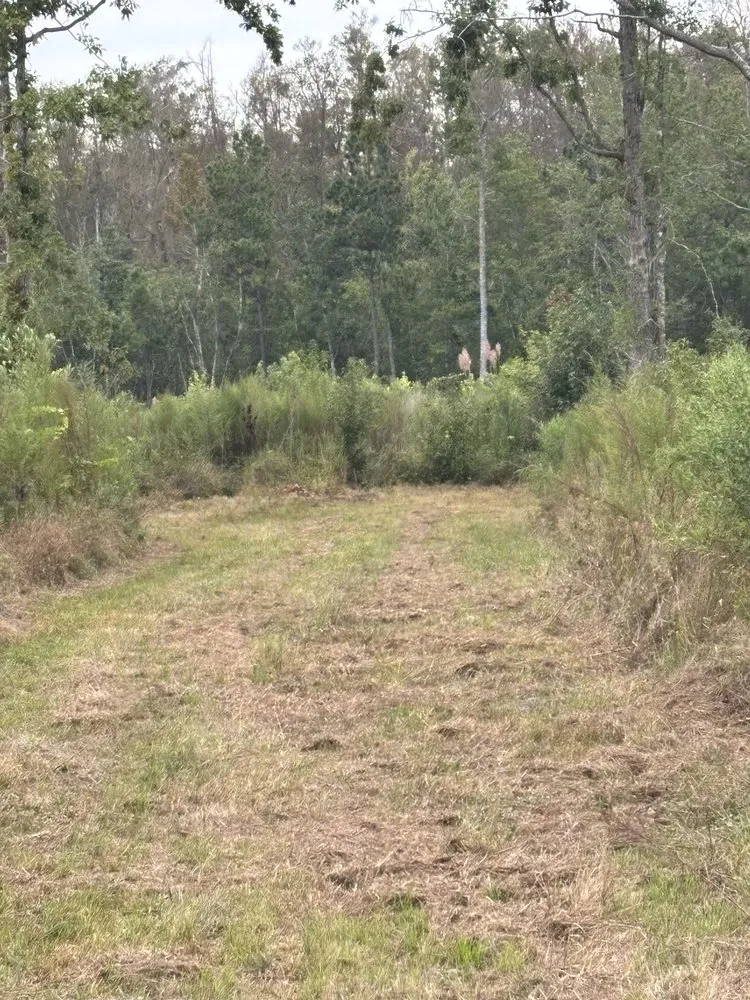 Expert outdoor landscaping in Macclesfield, NC by Future Grounds Land Development