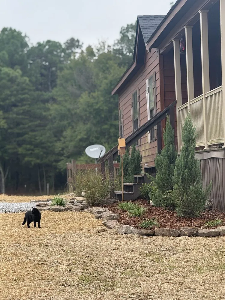 Custom yard maintenance in Southside, AL by Future Landscaping