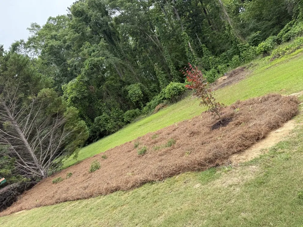 Reliable yard cleanup service near you across Southside, AL - Future Landscaping