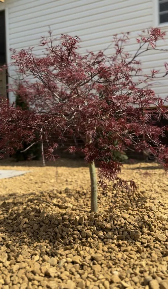 Professional garden landscaping near you across Southside, AL - Future Landscaping