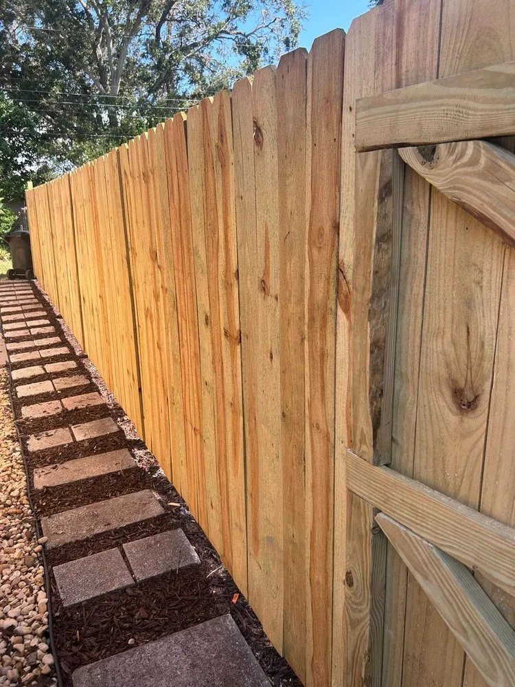 Professional landscape design for year-round maintenance in Tampa, FL by Future Landscaping