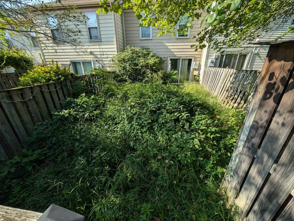 Custom landscape installation in Fredericksburg, VA - Future Lawn Care