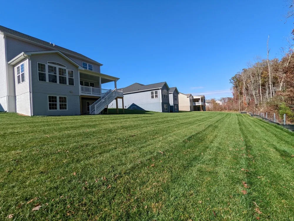 Affordable landscaping services for outdoor upgrades across Fredericksburg, VA - Future Lawn Care