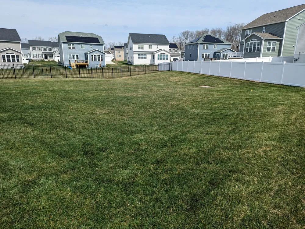 Top-rated landscape design in Fredericksburg, VA by Future Lawn Care