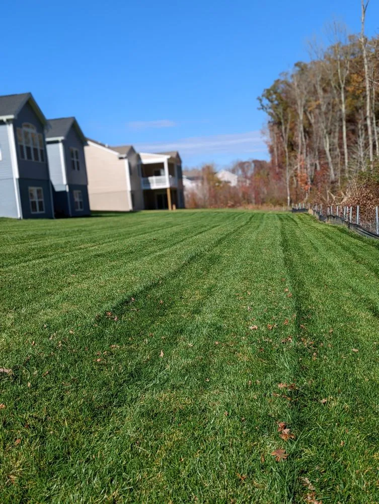 Custom lawn mowing service experts serving Fredericksburg, VA - Future Lawn Care