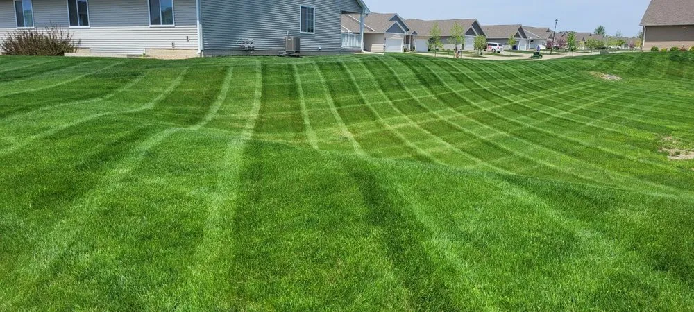 Local residential landscaping in Palo, IA - Future Lawns & Landscaping
