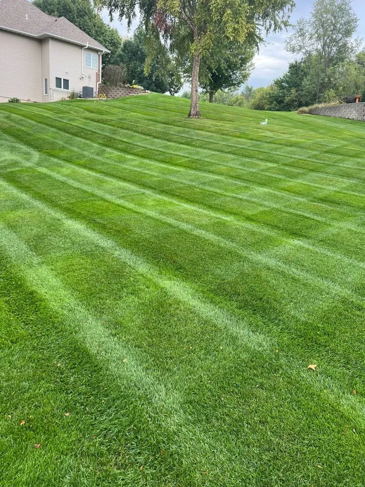 Custom yard cleanup service experts serving Palo, IA - Future Lawns & Landscaping