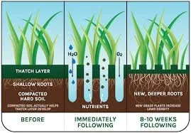 Expert lawn care service for beautiful yards in Palo, IA by Future Lawns & Landscaping