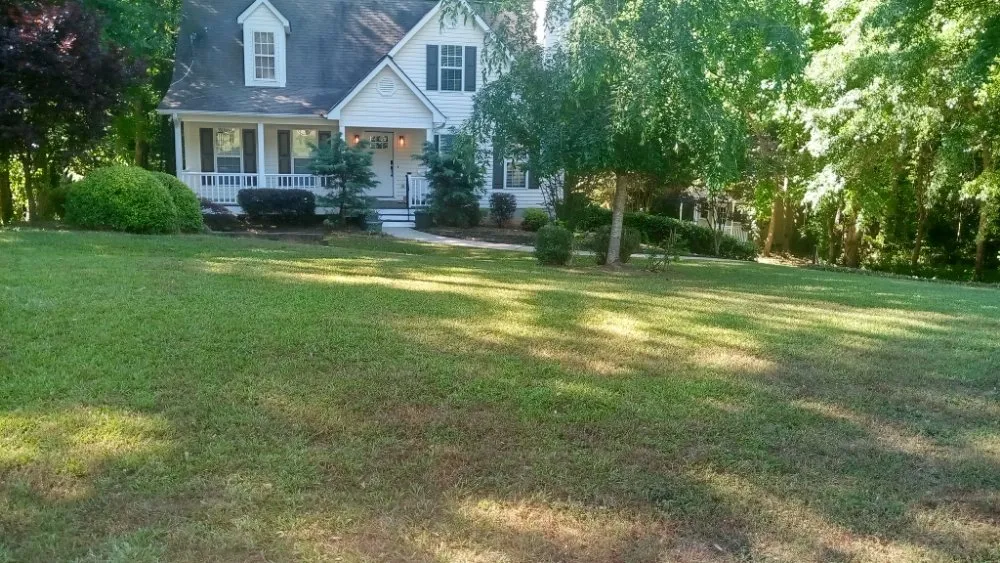 Expert yard cleanup service in Palmetto, GA - Future Vision Incorporation