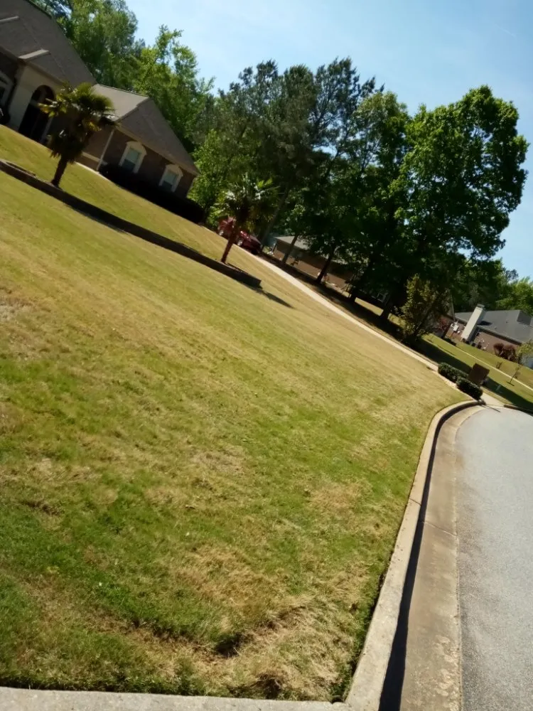 Expert landscaping services for residential properties across Palmetto, GA - Future Vision Incorporation