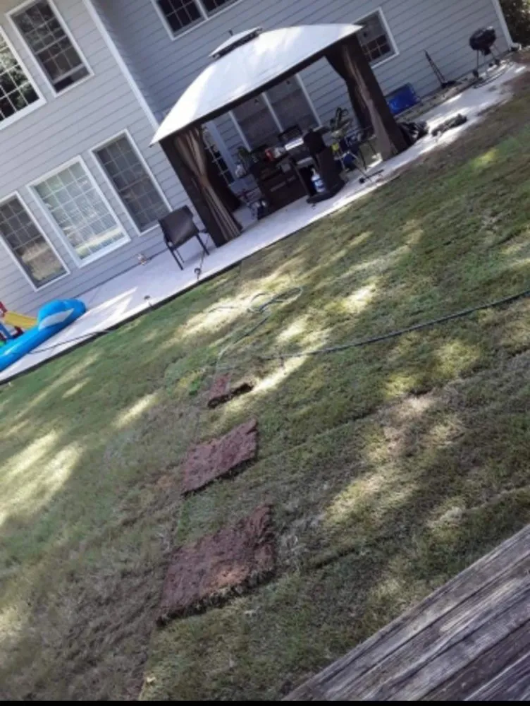 Top-rated lawn care service in Palmetto, GA by Future Vision Incorporation