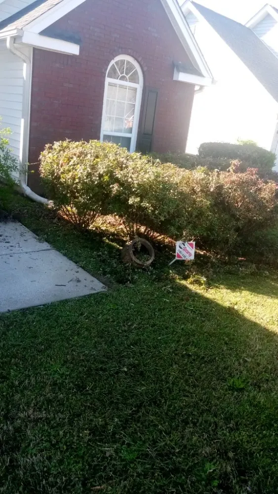 Professional landscaping services in Palmetto, GA - Future Vision Incorporation