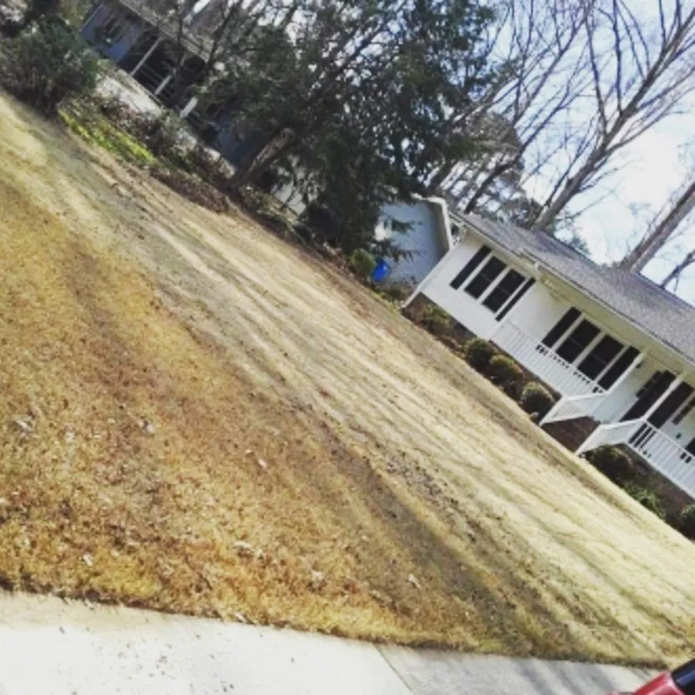 Local lawn care service in Palmetto, GA by Future Vision Incorporation